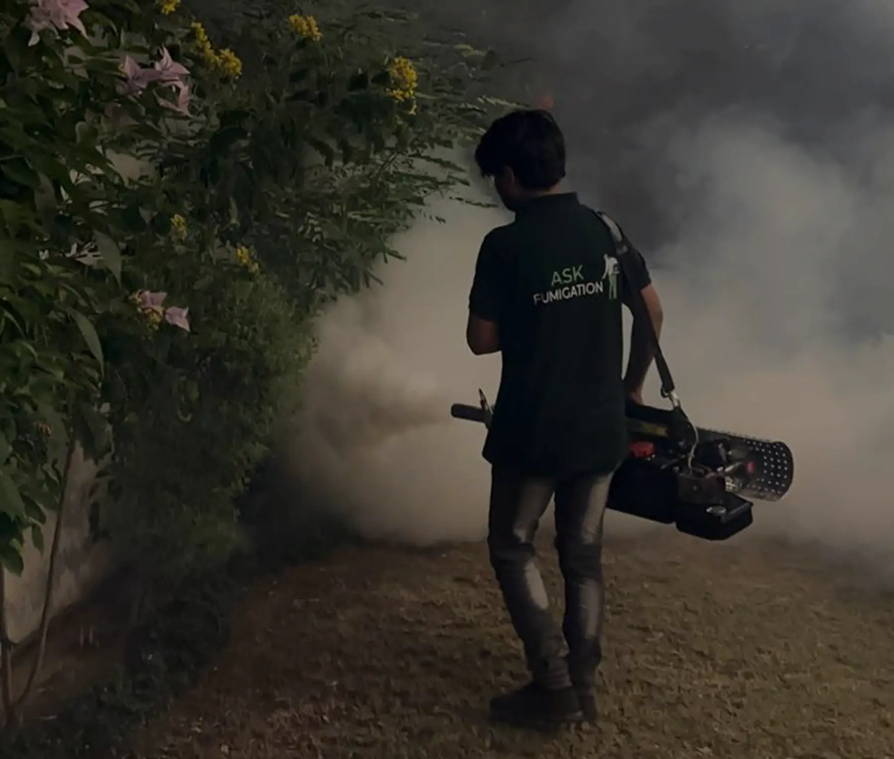 Mosquito control service near phase 7 DHA Karachi