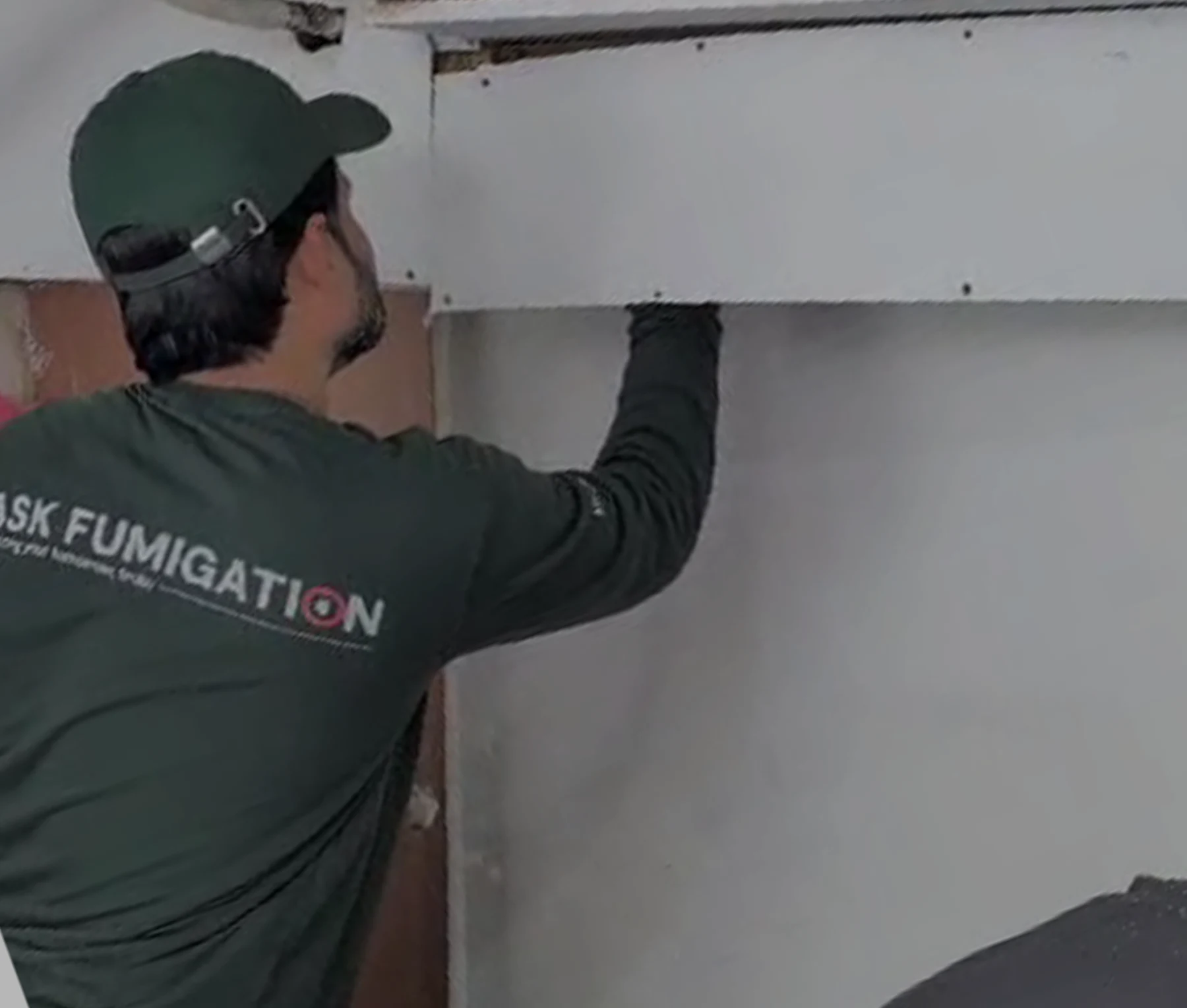 Rodent Control service near DHA phase 2 Extension karachi