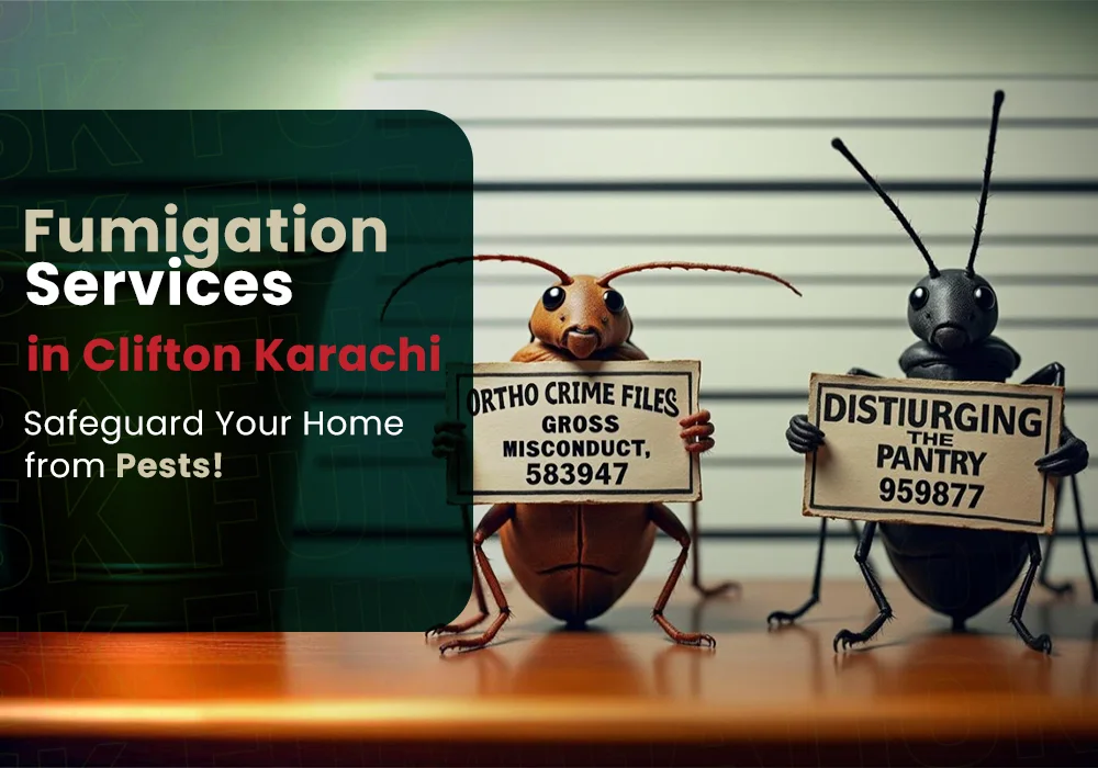 Fumigation Services in Clifton - Askfumigation