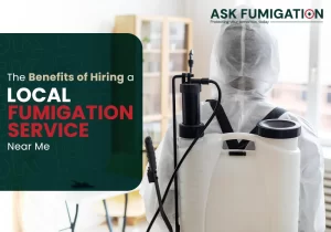Fumigation Service Near Me - Ask Fumigation