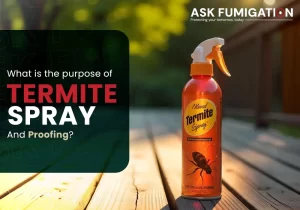 Termite Spray - Askfumigation
