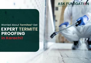 termites - Ask Fumigation