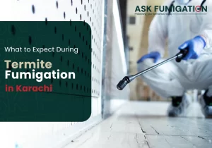 Termite Fumigation in Karachi - Askfumigation