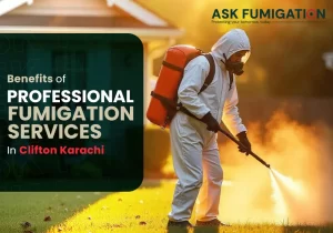 fumigation services in clifton karachi - Ask Fumigation