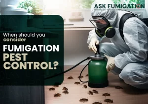 fumigation pest control -AskFumigation