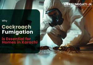 Cockroach fumigation - AskFumigation