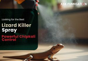 Lizard Killer Spray - AskFumigation