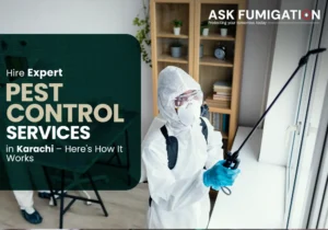 pest control services - Ask Fumigation