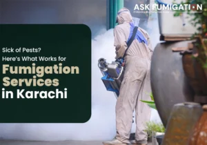 fumigation services in karachi - Ask Fumigation