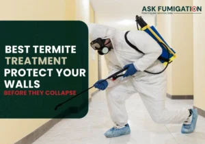 best termite treatment​ - Ask Fumigation