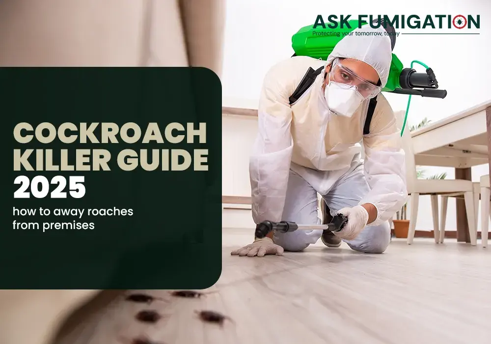 Cockroach Killer - Ask Fumigation