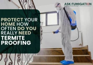 Termite Proofing - Ask Fumigation