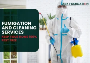 Fumigation and Cleaning Services - Ask Fumigation