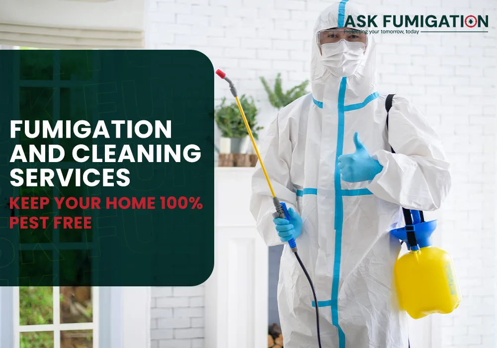 Fumigation and Cleaning Services - Ask Fumigation