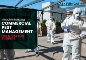 commercial pest management - Ask Fumigation