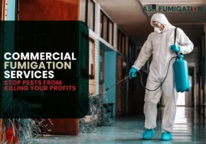 commercial fumigation services - Ask Fumigation
