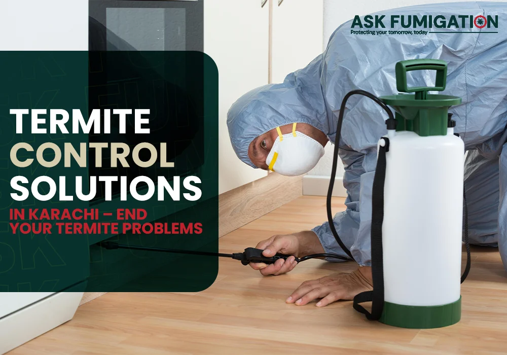termite control solutions - Ask Fumigation