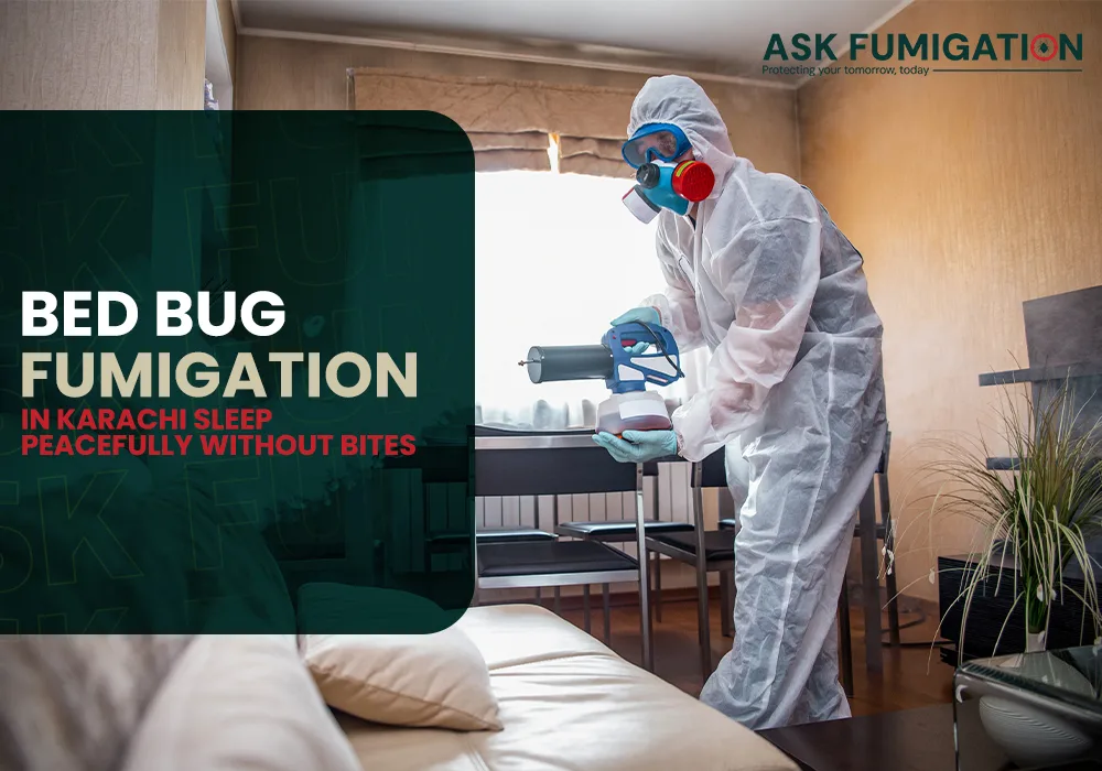 bed bug fumigation​ - Ask Fumigation