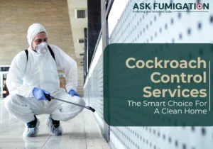 cockroach control services - Ask Fumigation