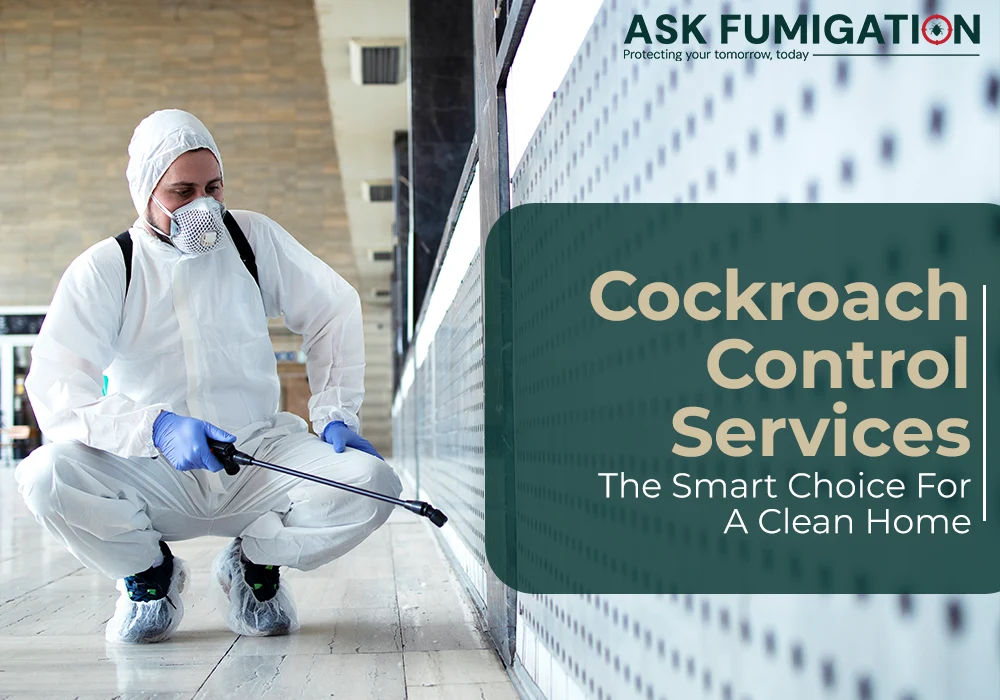 cockroach control services - Ask Fumigation