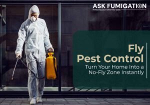 fly pest control​ - Ask Fumigation