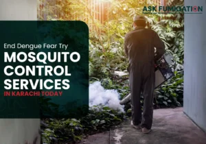 mosquito control services - Ask Fumigation