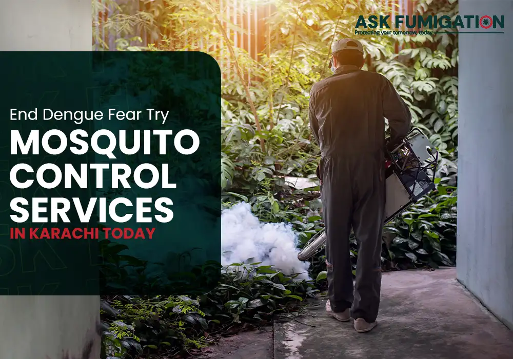 mosquito control services - Ask Fumigation