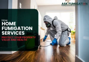 home fumigation services - Ask Fumigation