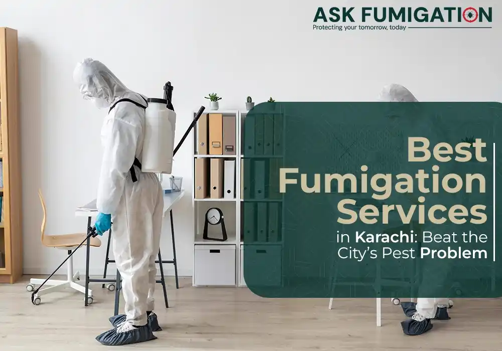 best fumigation services - Ask Fumigation
