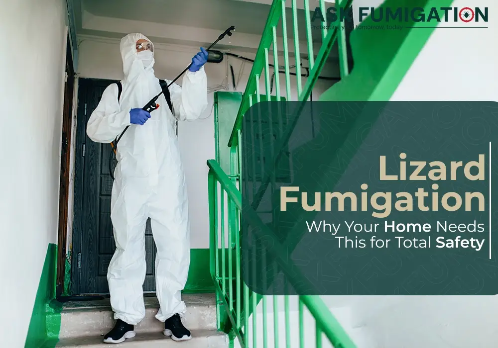 lizard fumigation - Ask Fumigation