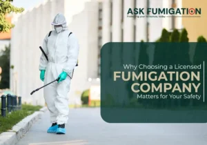 fumigation company - Ask Fumigation