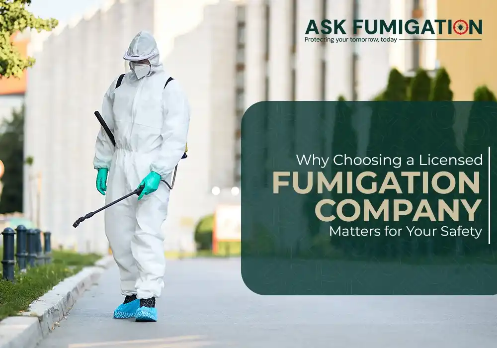 fumigation company - Ask Fumigation