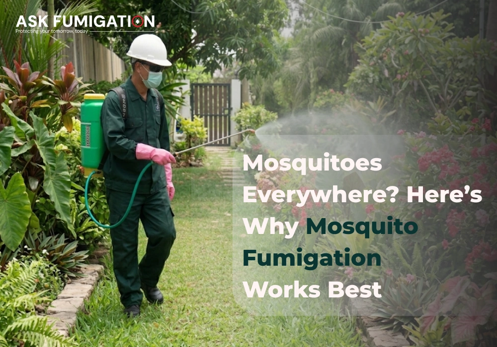 mosquito fumigation - Ask Fumigation